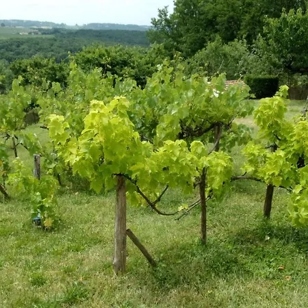 Maison Linda Ch. D'hote * Grateloup