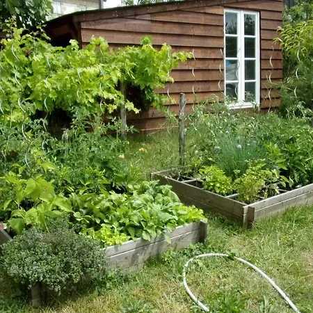 Couette-café Maison Linda Ch. D'hote *