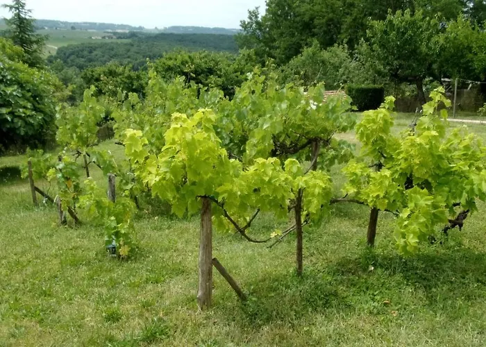 Maison Linda Ch. D'hote * Grateloup