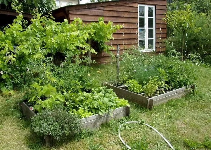 Bed & Breakfast Maison Linda Ch. D'hote *